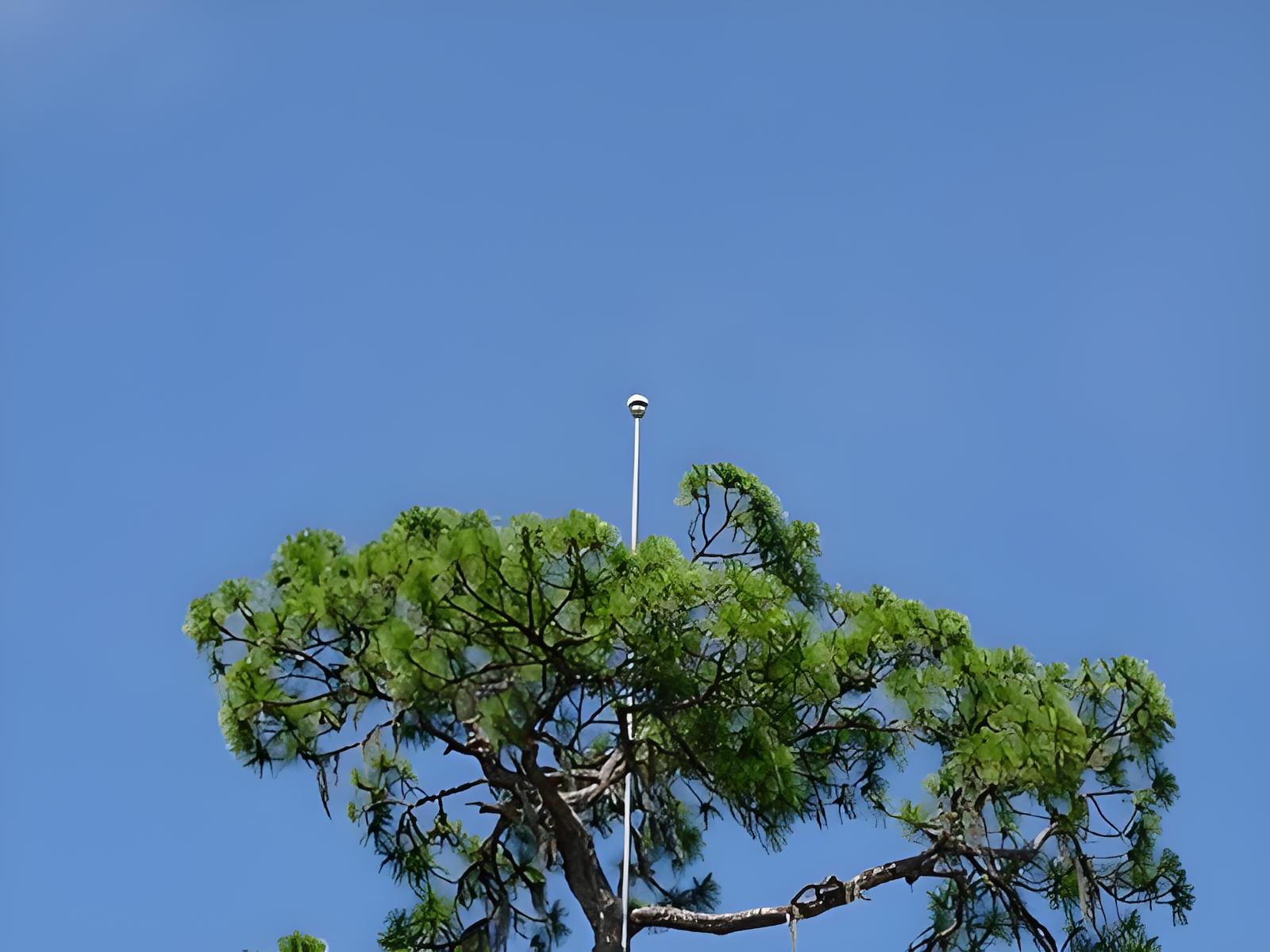 高尔夫球场避雷